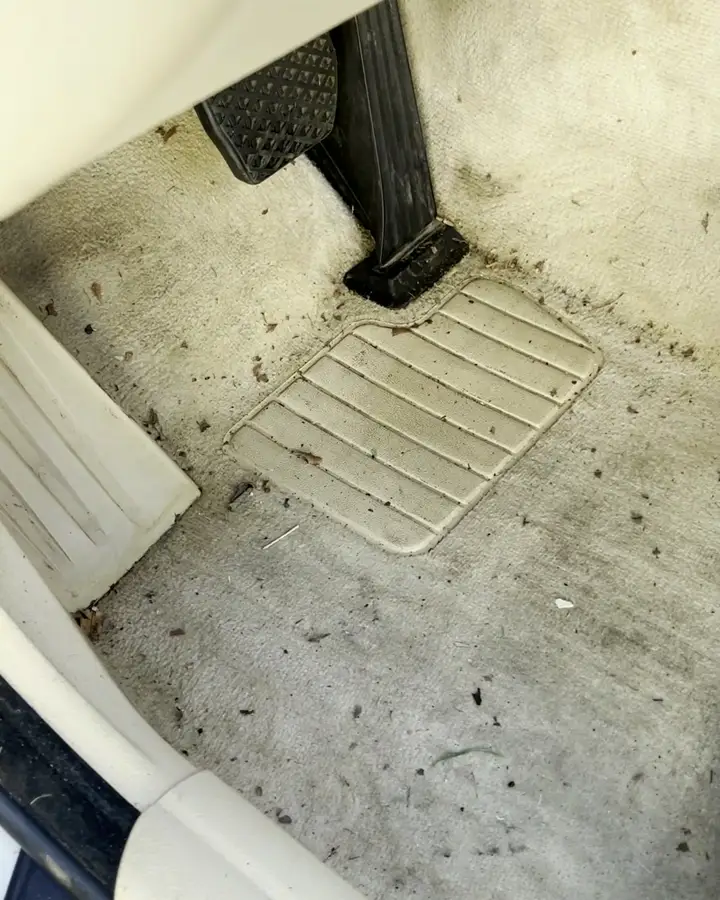 BMW 5 Series cream carpet, stained, before